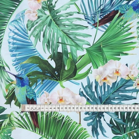 Monstera i koliber3.jpg