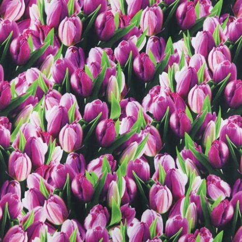 TKANINA WODOODPORNA Tulipany
