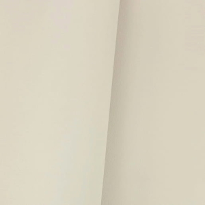 Ekoskóra / skaj gładki beżowy jasny