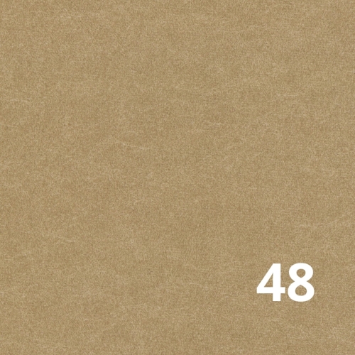 Castel 48 Davis.jpg