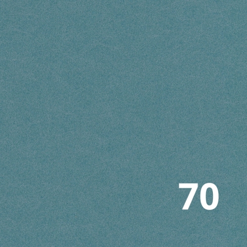 Castel 70 Davis.jpg