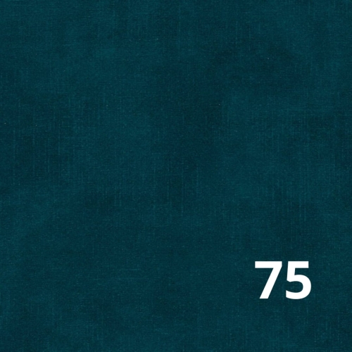 Terra Davis 75.jpg