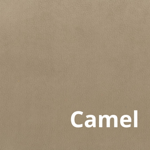 Bull - Elastron - Camel.jpg