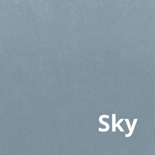 Bull - Elastron - Sky.jpg