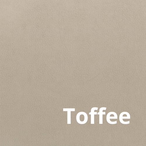 Bull - Elastron - Toffee.jpg