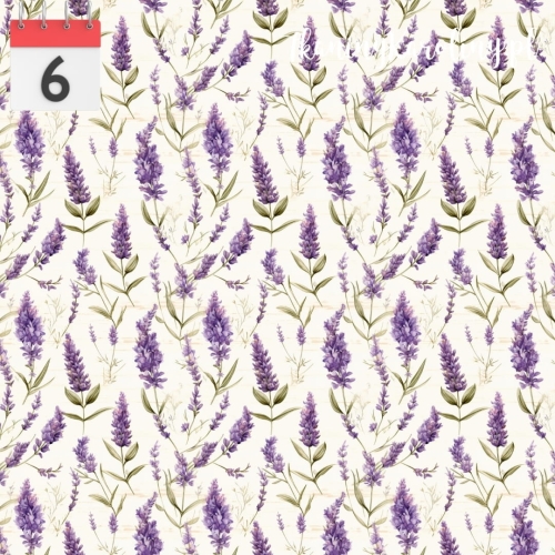 53.jpg