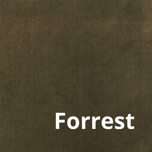 Paris - Elastron - Forrest.jpg
