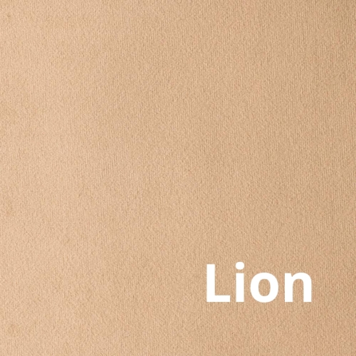 Paris - Elastron - Lion.jpg