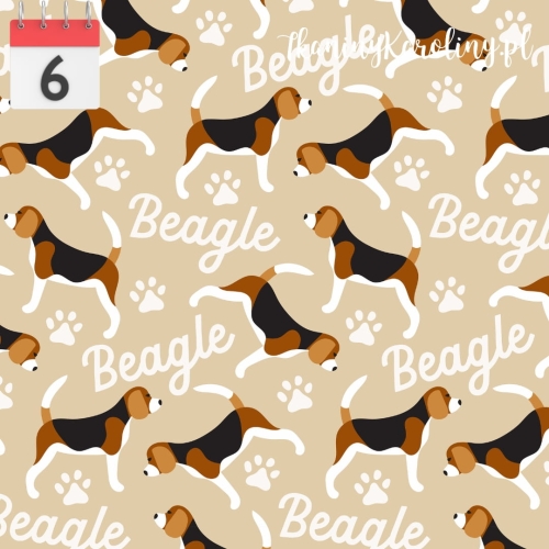 Beagle.jpg
