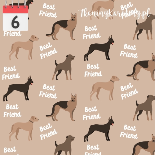 Duże psy.jpg