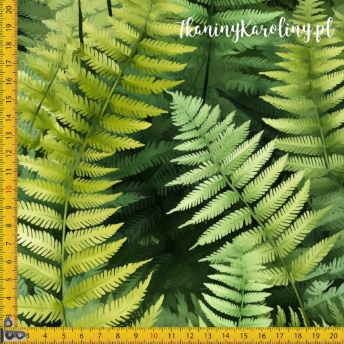 Zielone liście paproci linijka.jpg