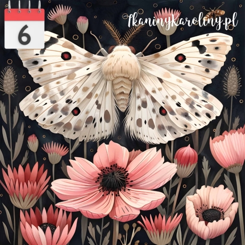 Nocny motyl 347.jpg