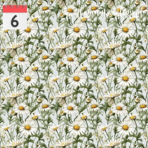 fc224222d2568cf03e379f26ca515bee