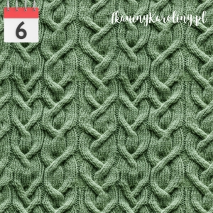 SOFTSHELL WODOODPORNY Sweter warkocz [6]
