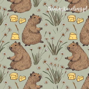 SOFTSHELL WODOODPORNY - Kapibary na kwietnej łące, ser żółty [6-8] 