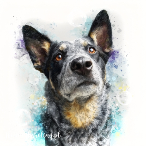 Panel welurowy Australian Cattle dog 2 malowany