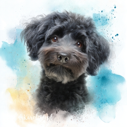Panel welurowy Czarny maltipoo malowany