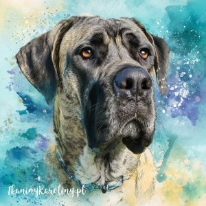 Panel welurowy Mastiff angielski 1 malowany [6-8]