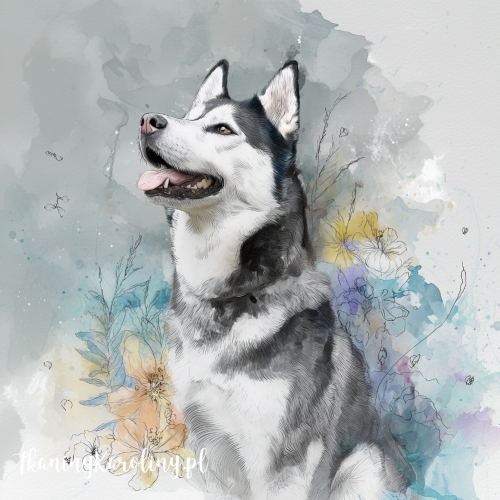 Panel welurowy Siberian husky malowany
