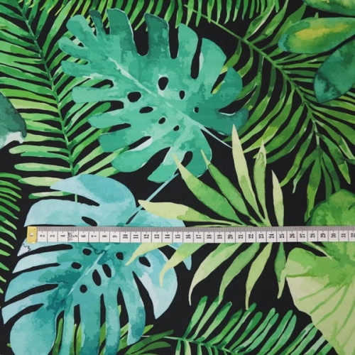 monstera na czarnym3.JPG