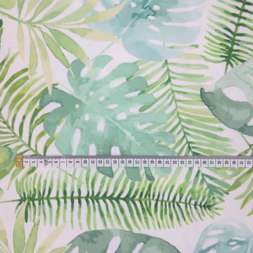 welur monstera3.JPG