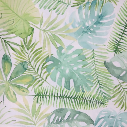 welur monstera2.JPG