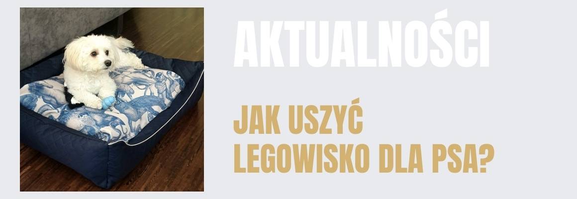 Jak uszyć legowisko dla psa?